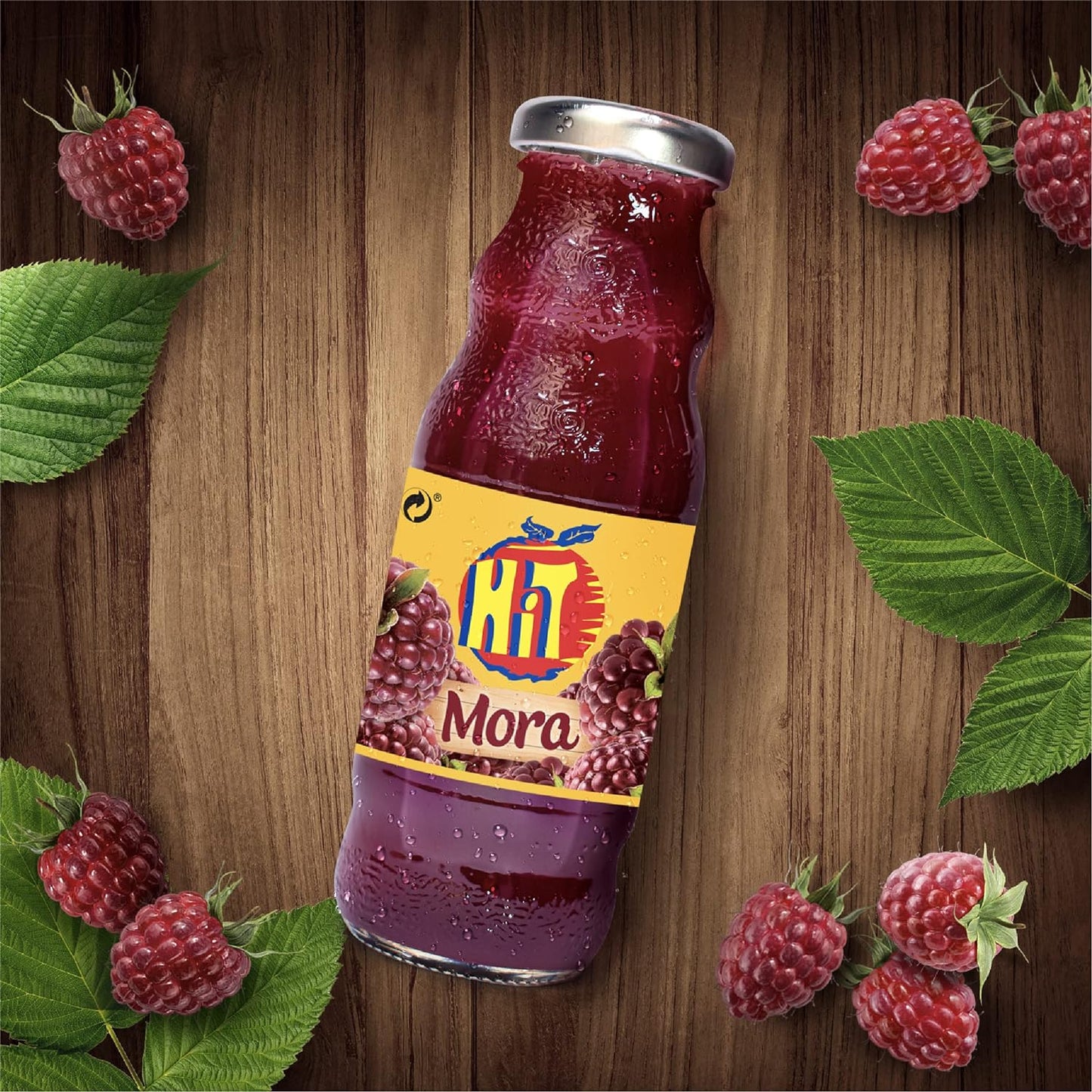 JUGOS HIT MORA VIDRIO 237ml (6 pack)